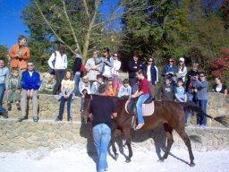 Glavice Mustang - 2008