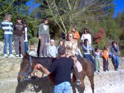 Glavice Mustang - 2008