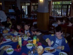 Glavice Mustang - 2008