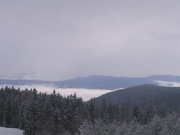 Kupres 2006.